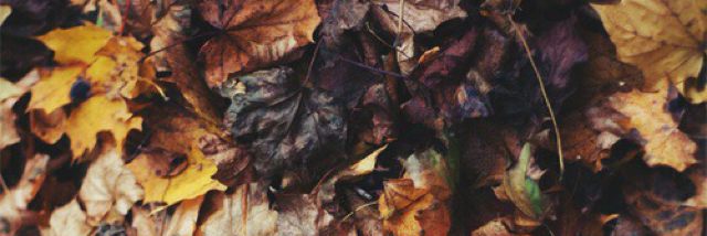 Cover image for post Untitled, by unspecific