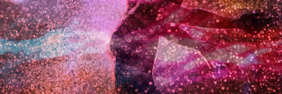 Cover image for post Untitled, by Soul_Rebel