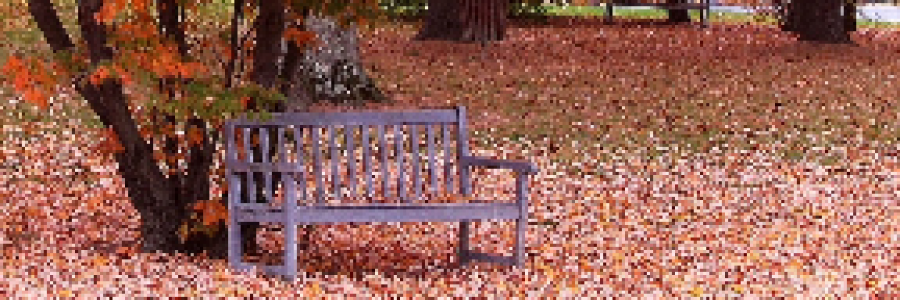 Cover image for post Autumn's Home, by Mazzmyrrheyes