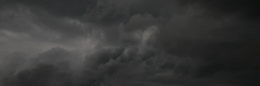 Cover image for post beauty, by kmdgal