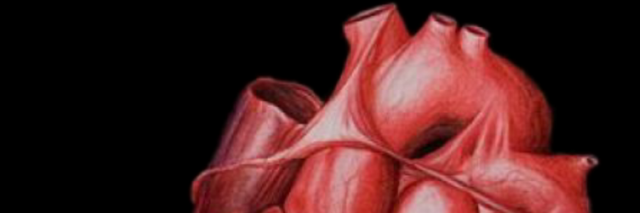 Cover image for post To Love a Sociopath, by Irish_Pheonix