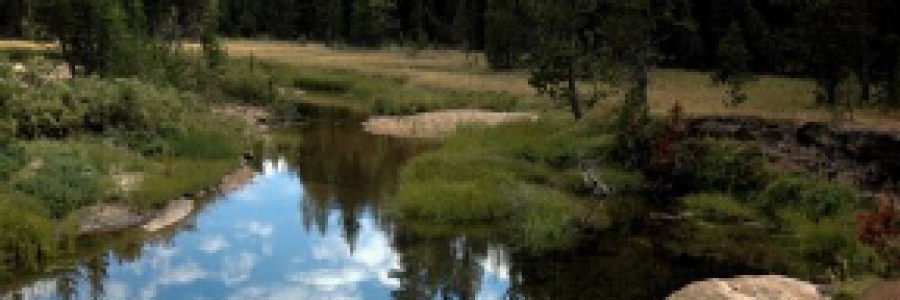 Cover image for post Live Streaming, by Mazzmyrrheyes