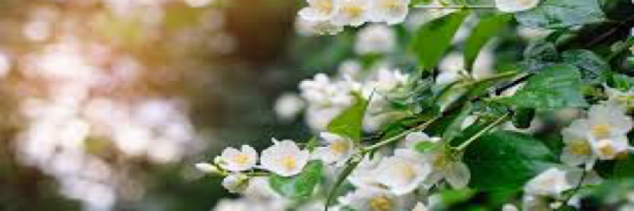 Cover image for post It’s a bright new world part 5, by PrincessHeda