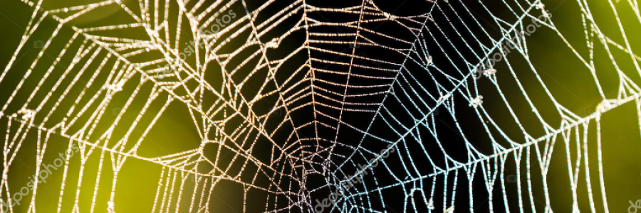 Cover image for post Untitled, by BMuise