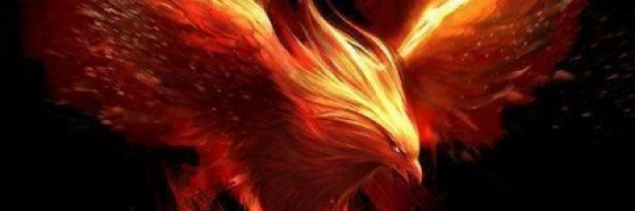 Cover image for post rise like a phoenix, by Yuki