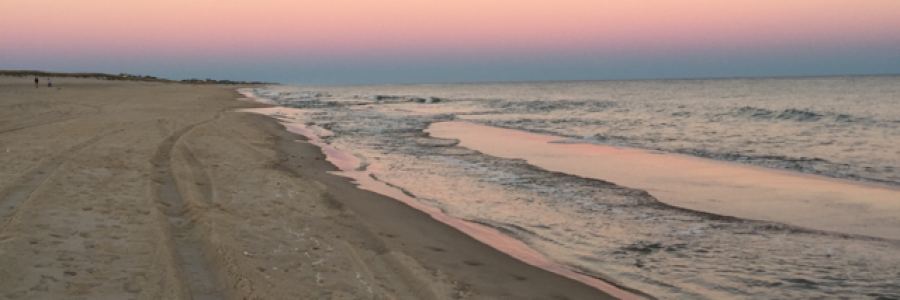 Cover image for post Run, by Dkf117