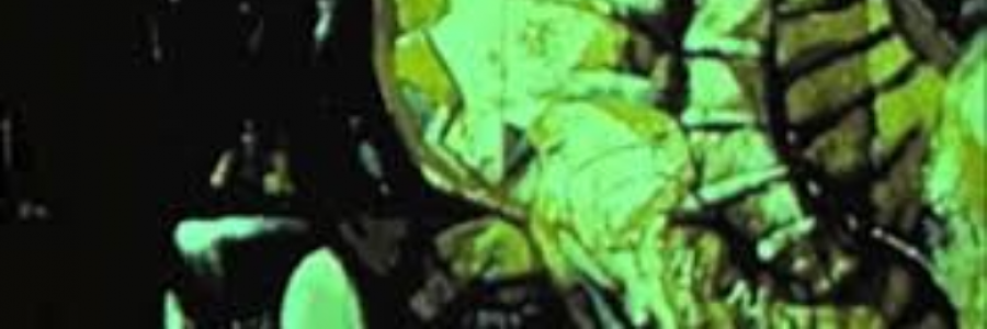 Cover image for post Green Murder Club, by sandflea68