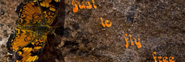 Cover image for post Her Voice, Her Freedom, by WritingMiakoda