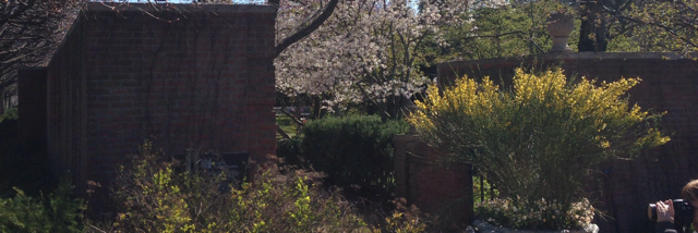 Cover image for post Recant, by MrsMetaphor