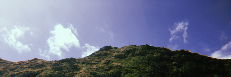 Cover image for post Hayed Needle, by TsarReforma101