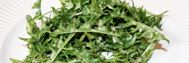 Cover image for post Tossed Visceral Literals, by Schrieben_Wulf