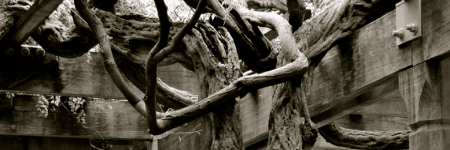 Cover image for post It Takes Two, by DC_Ferreira