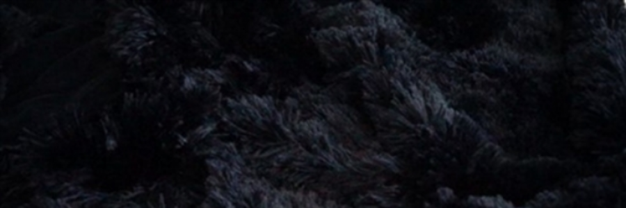 Cover image for post Safe with Death, by LoneGirl