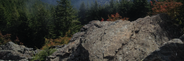 Cover image for post Hewn, by Monster