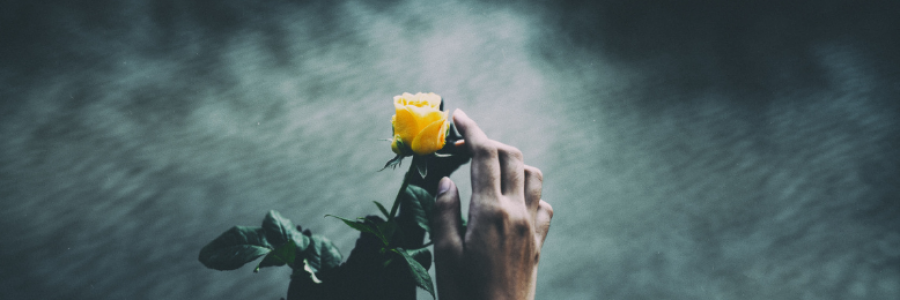 Cover image for post Re-Publish of "Gentle Devastation", by LoneGirl