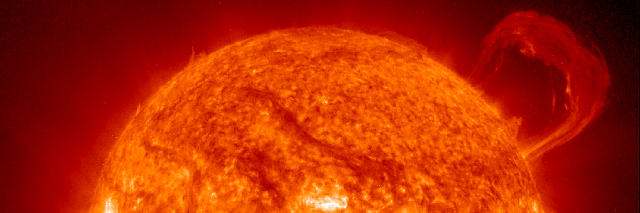 Cover image for post Drinking from the Sun, by TripsySouth