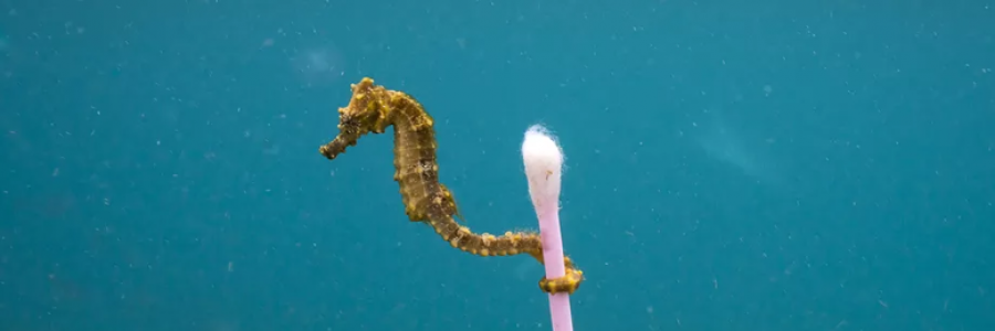 Cover image for post A Thank-You Note, by theinkedbee