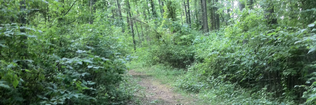 Cover image for post Love story nobody wants to hear, by SierraPerdue