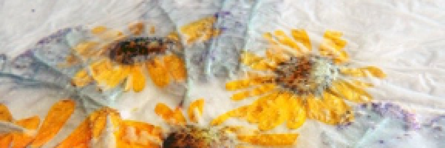 Cover image for post Pressed Flowers, by Mazzmyrrheyes