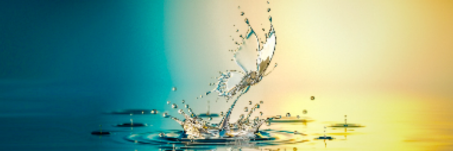 Cover image for post The Butterfly Cause, by KaeIL