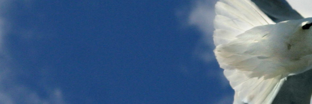 Cover image for post Going Under, by MEsolushospes