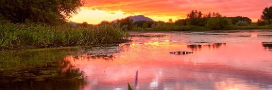 Cover image for post Shading a Sunrise Sketch, by Mazzmyrrheyes