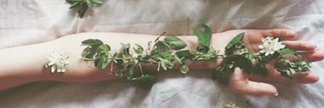 Cover image for post rationales & fire in my stomach, by paintingskies