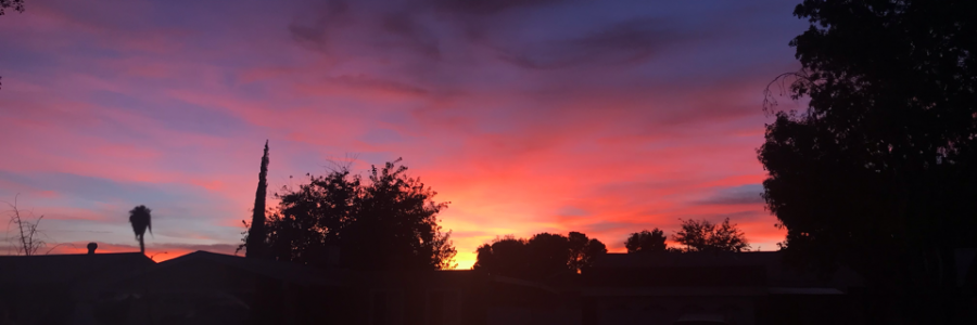 Cover image for post Sunset, by Ldla