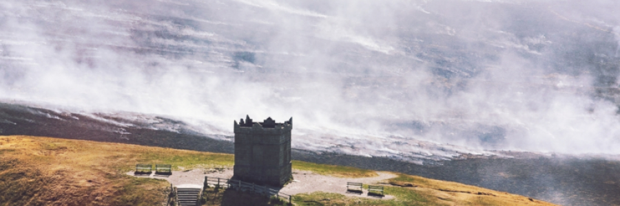 Cover image for post Igne Natura Renovatur Integra, by CarpeNoctem