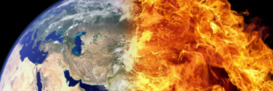 Cover image for post Mother Nature's Plight, by 2Bamboopanda