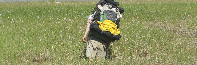 Cover image for post Sank you for reading, by Winterlad