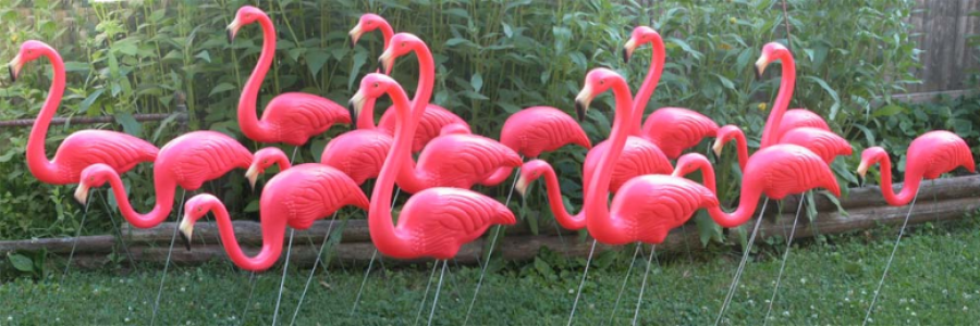 Cover image for post Old Florida, by JimLamb