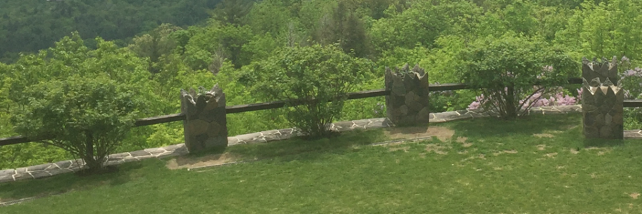 Cover image for post Searching for Eden., by Justbrainstatic