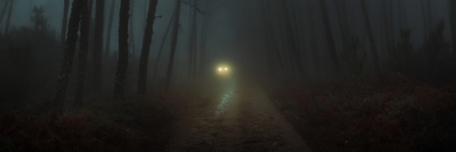 Cover image for post Worms, by Rev_Frenchie