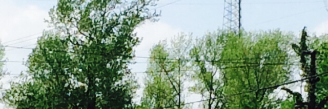 Cover image for post Working with 20, by Museonetwo