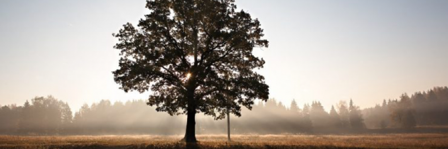 Cover image for post As Simple as That, by Ldla