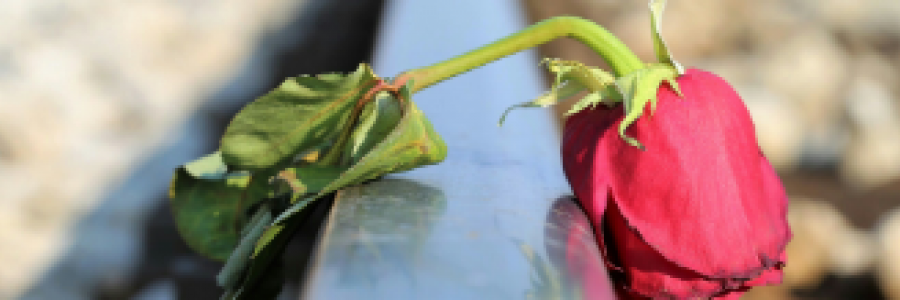 Cover image for post It's Okay, by 2Bamboopanda