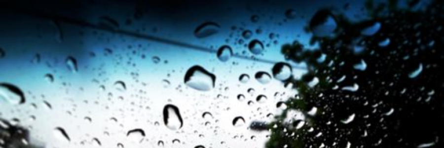 Cover image for post By Any Name., by celtpoet