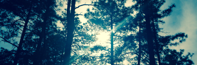 Cover image for post Roll Over, by sandystevens3