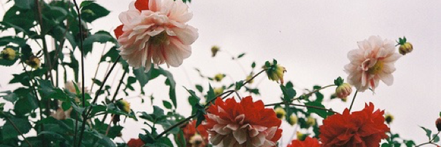 Cover image for post expectations, by unspecific