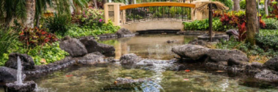 Cover image for post Tranquility Interrupted, by 2Bamboopanda