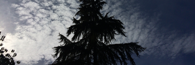 Cover image for post Surrender, by lucieinthesky