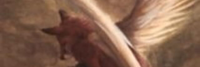 Cover image for post Soul, by Ana