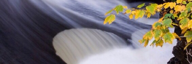 Cover image for post Current, by DMYope