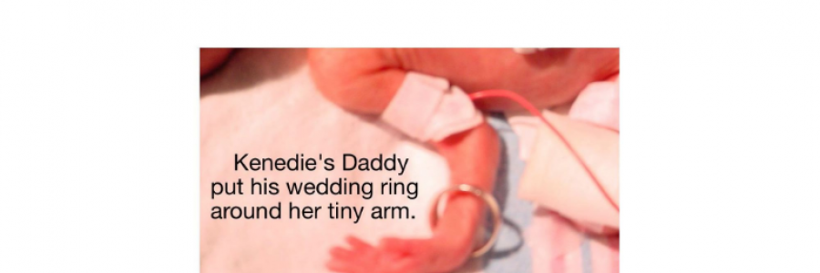 Cover image for post Lost & Found: A Story About Love, by JimLamb