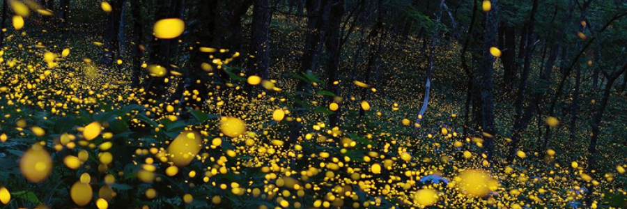 Cover image for post Notes to Self (Part 1), by EasyTiger