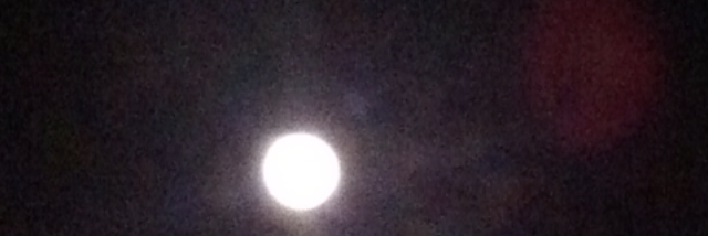 Cover image for post B.T.NM's, by Ana