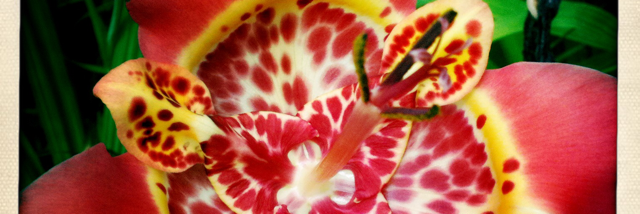 Cover image for post 3 Inches Of Blood, by JeffStewart