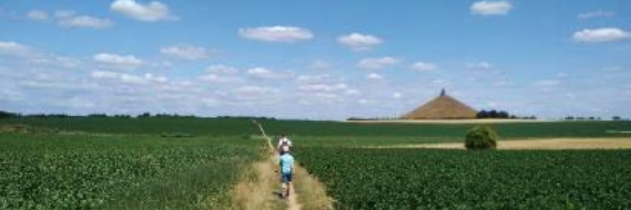 Cover image for post Allied Sunset and Empire’s Dawn, the French Ascendant at Waterloo, by jorembert