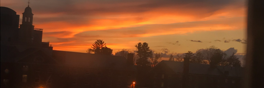 Cover image for post Untitled, by Rev_Frenchie